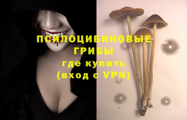 a pvp Беломорск