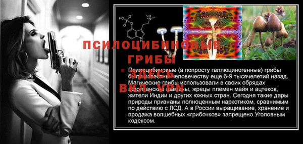 винт Каменск-Шахтинский