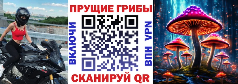 Псилоцибиновые грибы прущие грибы  Мглин 